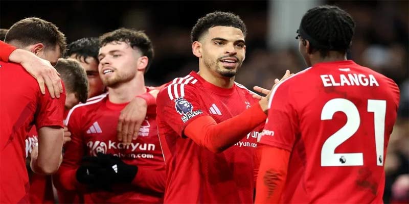 Nottingham FC: Sự Thăng Hoa và Tương Lai Câu Lạc Bộ