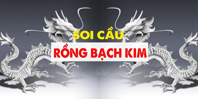 Soi Cầu Rồng Bạch Kim: Bí Quyết Dự Đoán Lô Đề Chuẩn Xác