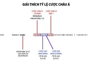 Tỷ lệ cược châu Á - Hiểu Biết Sâu Về Hình Thức