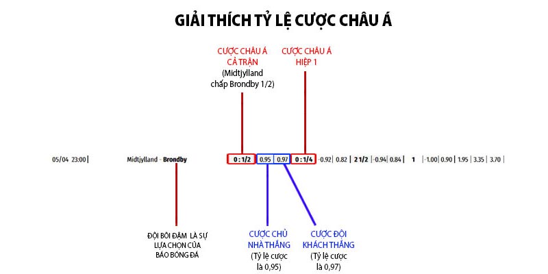 Tỷ lệ cược châu Á - Hiểu Biết Sâu Về Hình Thức